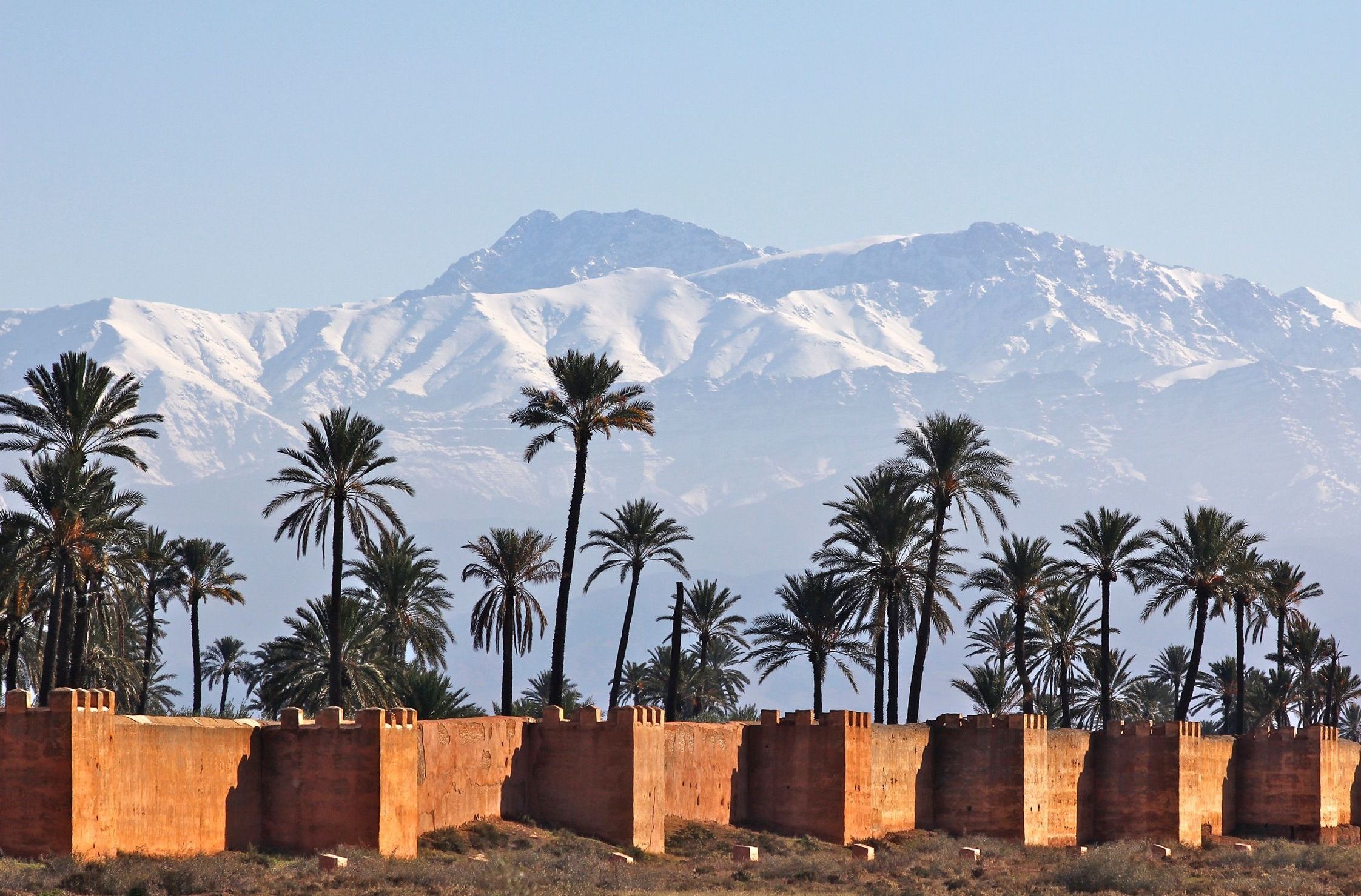 The Marrakech ramparts and palms with the snow-capped Atlas mountains beyond